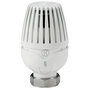 https://dam.giacomini.com/benelux.giacomini.com/nl/product_documentations/datasheets/R460H.pdf